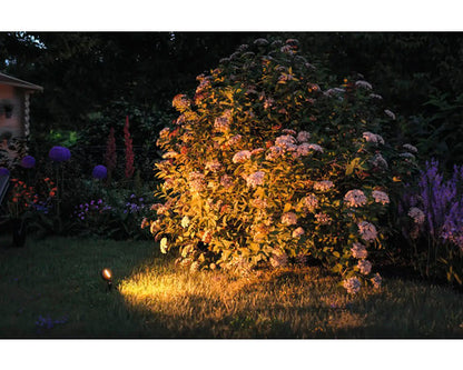 LED Outdoor Garden Spotlight Starter Kit