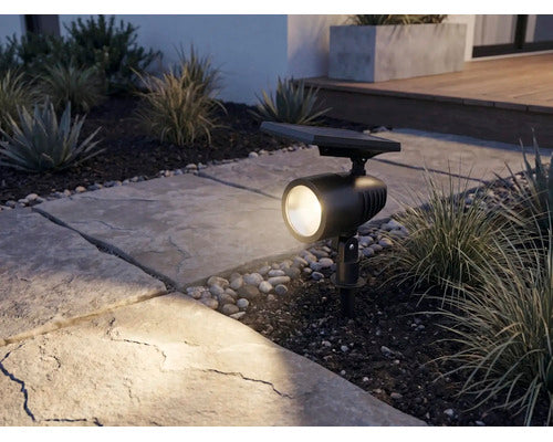 LED Solar Garden Spike Light – Black